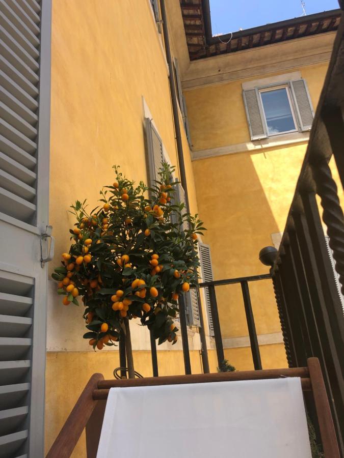 New! Bellissimo Palazzofranchi Pantheon Daire Roma Dış mekan fotoğraf